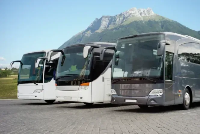 sewa bus pariwisata malang