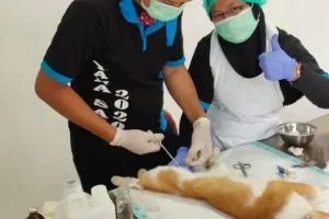 dokter hewan blitar