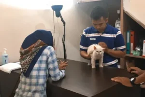 dokter hewan magelang