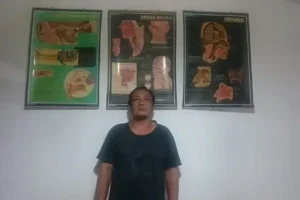 dokter tht ambon
