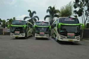 sewa bus pariwisata cirebon