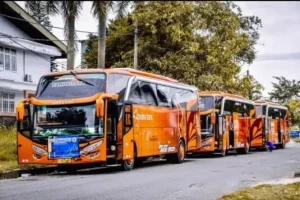 sewa bus pariwisata jakarta selatan