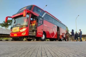 sewa bus pariwisata jakarta utara