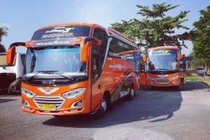 sewa bus pariwisata sidoarjo