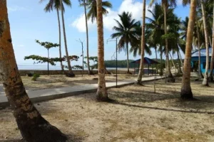 kepulauan tanimbar