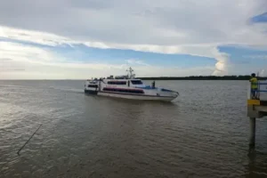 pulau burung