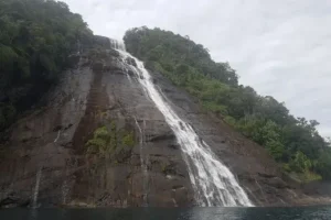 pulau musala