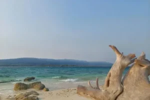 pulau oar