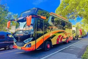sewa bus pariwisata jember