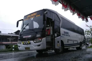 sewa bus pariwisata pontianak