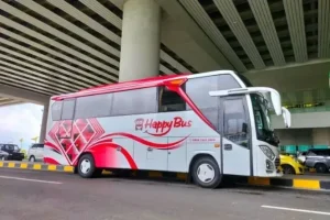 sewa bus pariwisata yogyakarta