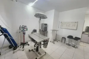 dokter hewan singaraja