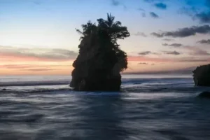pulau pisang