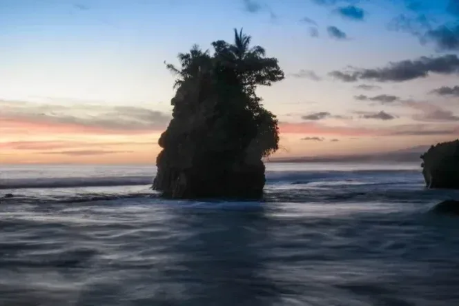 pulau pisang