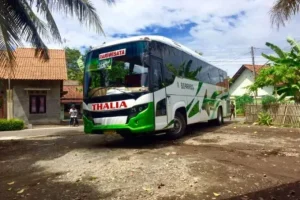 sewa bus pariwisata cilacap