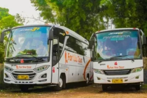 sewa bus pariwisata indramayu