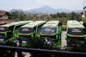 sewa bus pariwisata pekalongan
