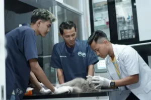 dokter hewan pemalang