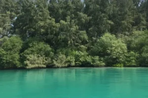 pulau ayer