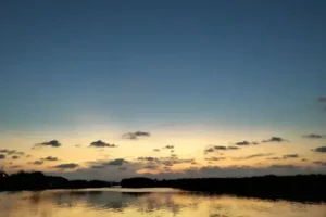 pulau kelapa