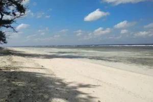 pulau sakala