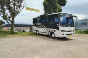 sewa bus pariwisata payakumbuh