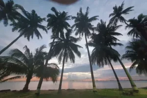 pulau sambu