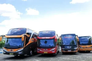 sewa bus pariwisata jawa timur