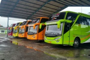sewa bus pariwisata probolinggo