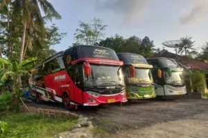 sewa bus pariwisata pangandaran