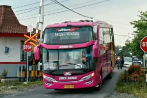 sewa bus pariwisata purwodadi