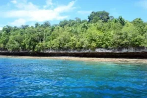 pulau kakaban