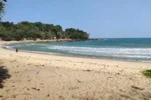 pulau manuk