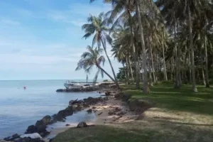 pulau masalembu