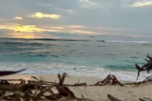 pulau pandan