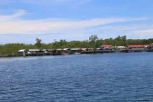 pulau miang
