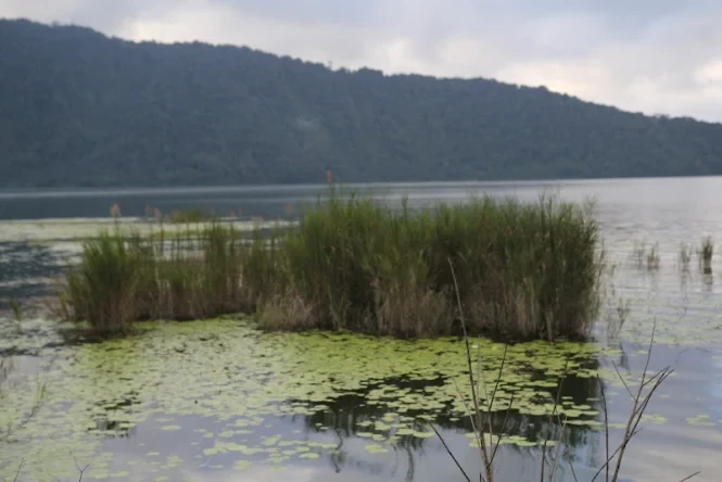 danau beratan