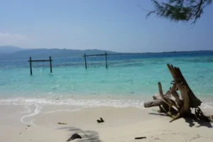 pulau karimunjawa