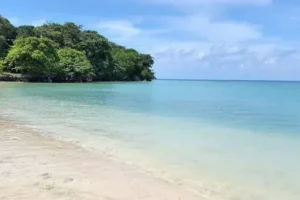 pulau liwungan