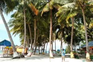 pulau mubut