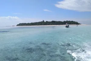 pulau sangalaki
