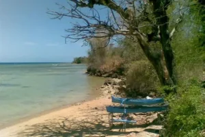 pulau sapudi