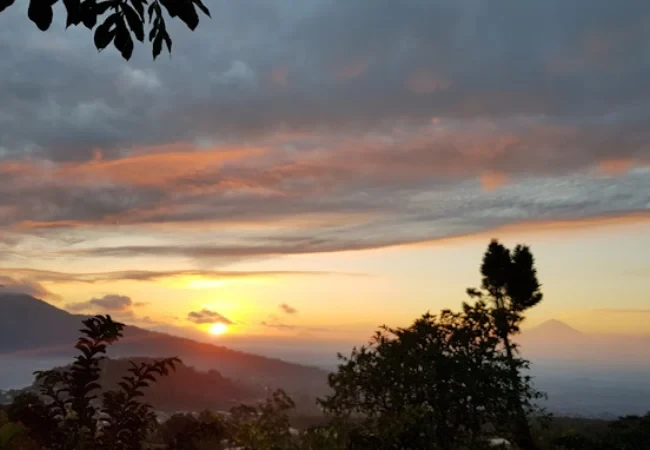 agro puncak bedugul