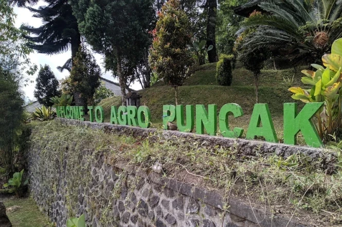 agro puncak bedugul