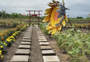 agrowisata bunga