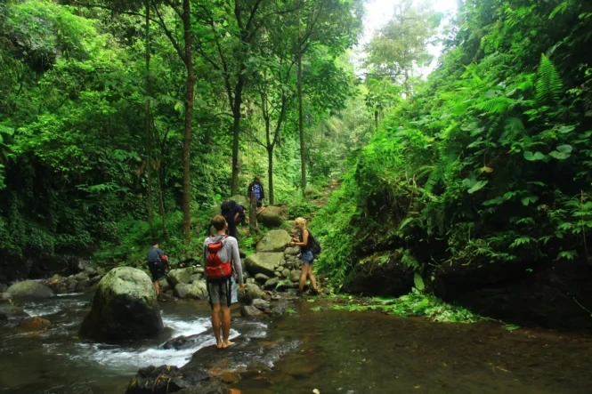 Air Terjun Jagir