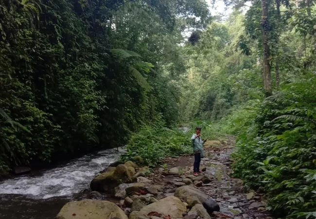 air terjun kemanten