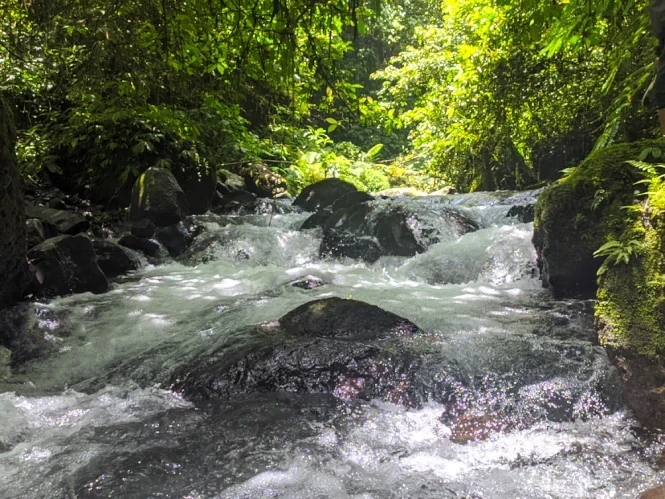 air terjun lider 2021 03 01
