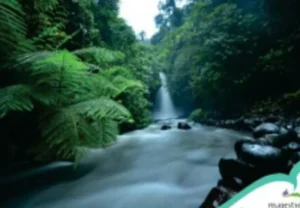 air terjun telunjuk raung