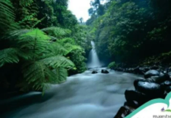 air terjun telunjuk raung